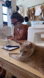 cat at sewing machine