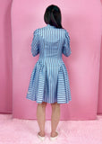 Pashia Shirt Dress PDF Sewing Pattern